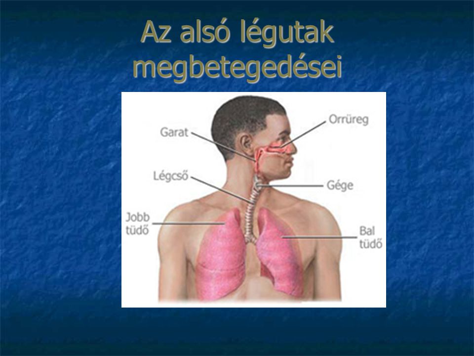 légcső rák tünetei)