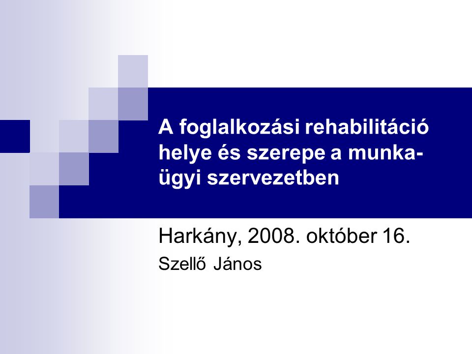 A foglalkozási rehabilitáció helye és szerepe a munka- ügyi szervezetben Harkány, 2008.