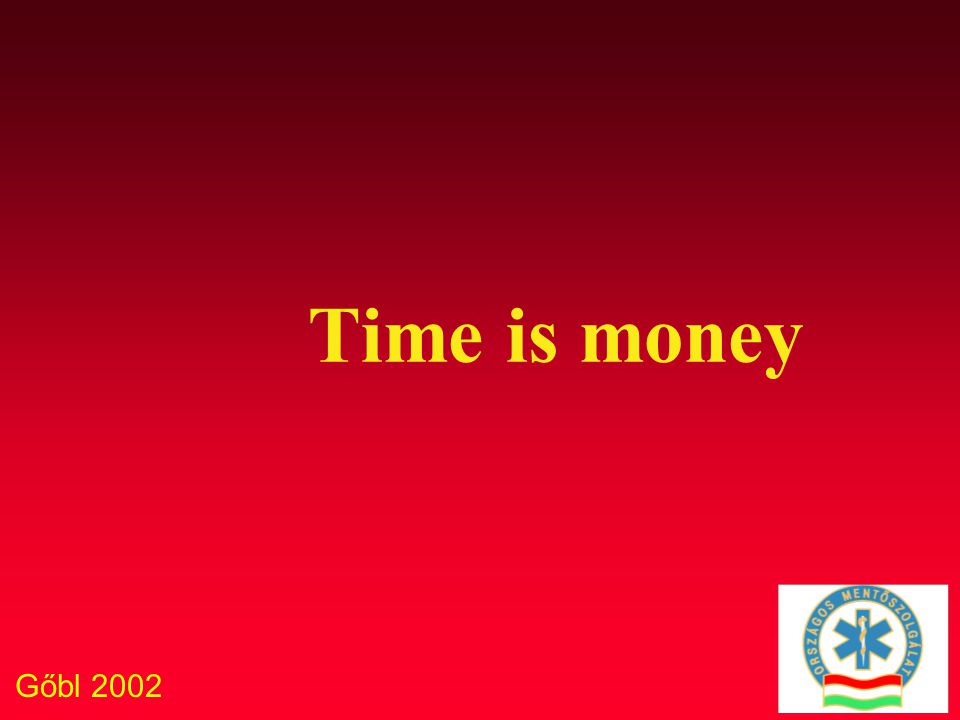 Gőbl 2002 Time is money