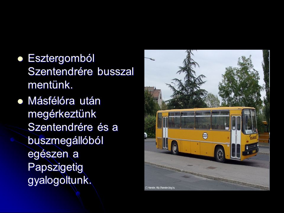 Esztergomból Szentendrére busszal mentünk. Esztergomból Szentendrére busszal mentünk.
