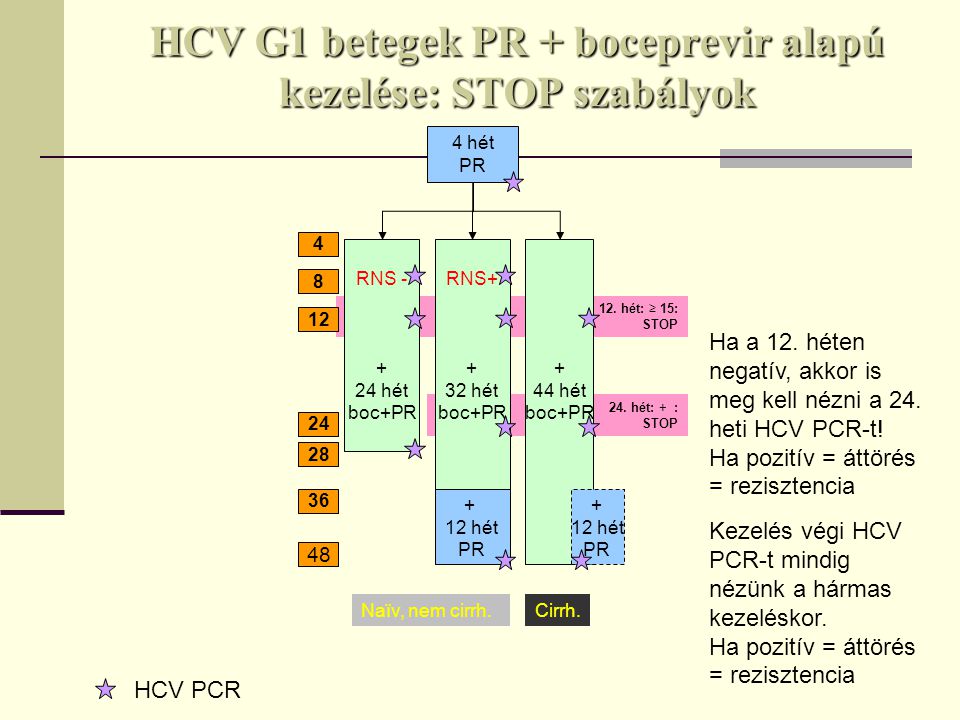 HCV G1 betegek PR + boceprevir alapú kezelése: STOP szabályok 24.