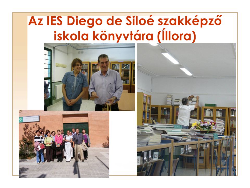 Az IES Diego de Siloé szakképző iskola könyvtára (Íllora)