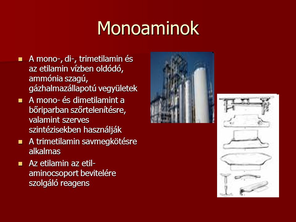 Monoaminok A mono-, di-, trimetilamin és az etilamin vízben oldódó, ammónia szagú, gázhalmazállapotú vegyületek A mono-, di-, trimetilamin és az etilamin vízben oldódó, ammónia szagú, gázhalmazállapotú vegyületek A mono- és dimetilamint a bőriparban szőrtelenítésre, valamint szerves szintézisekben használják A mono- és dimetilamint a bőriparban szőrtelenítésre, valamint szerves szintézisekben használják A trimetilamin savmegkötésre alkalmas A trimetilamin savmegkötésre alkalmas Az etilamin az etil- aminocsoport bevitelére szolgáló reagens Az etilamin az etil- aminocsoport bevitelére szolgáló reagens