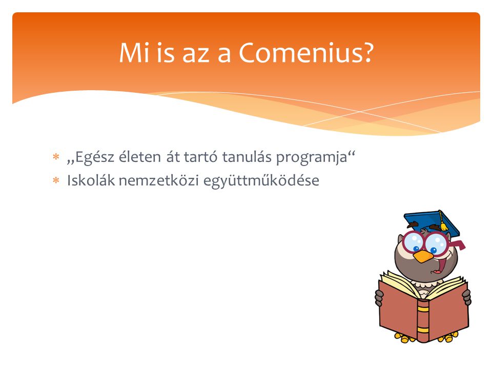  „Egész életen át tartó tanulás programja  Iskolák nemzetközi együttműködése Mi is az a Comenius