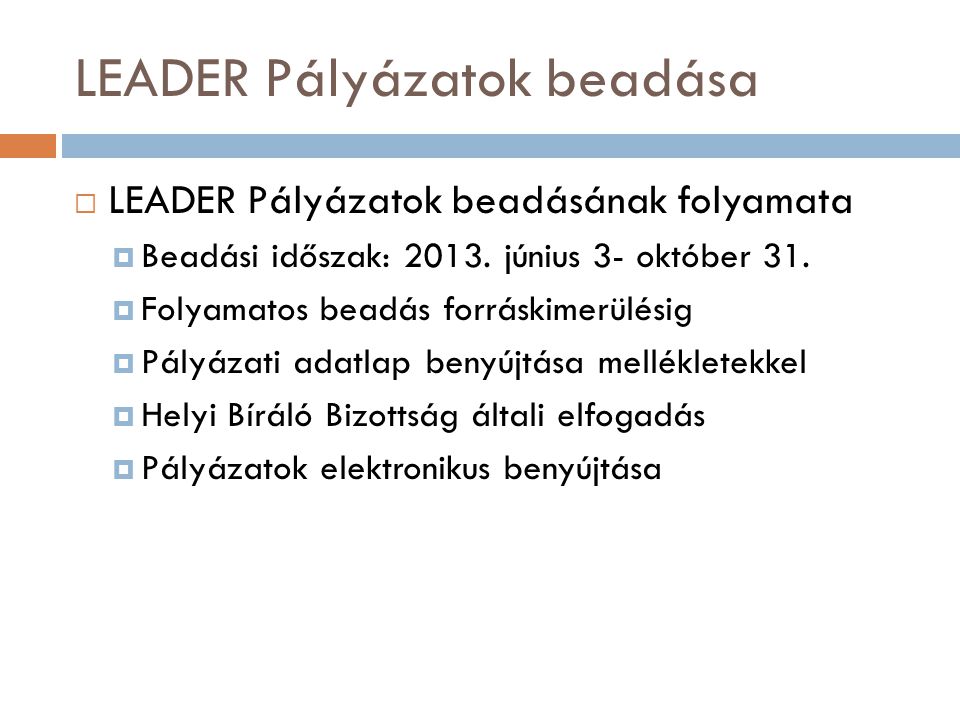 LEADER Pályázatok beadása  LEADER Pályázatok beadásának folyamata  Beadási időszak: 2013.