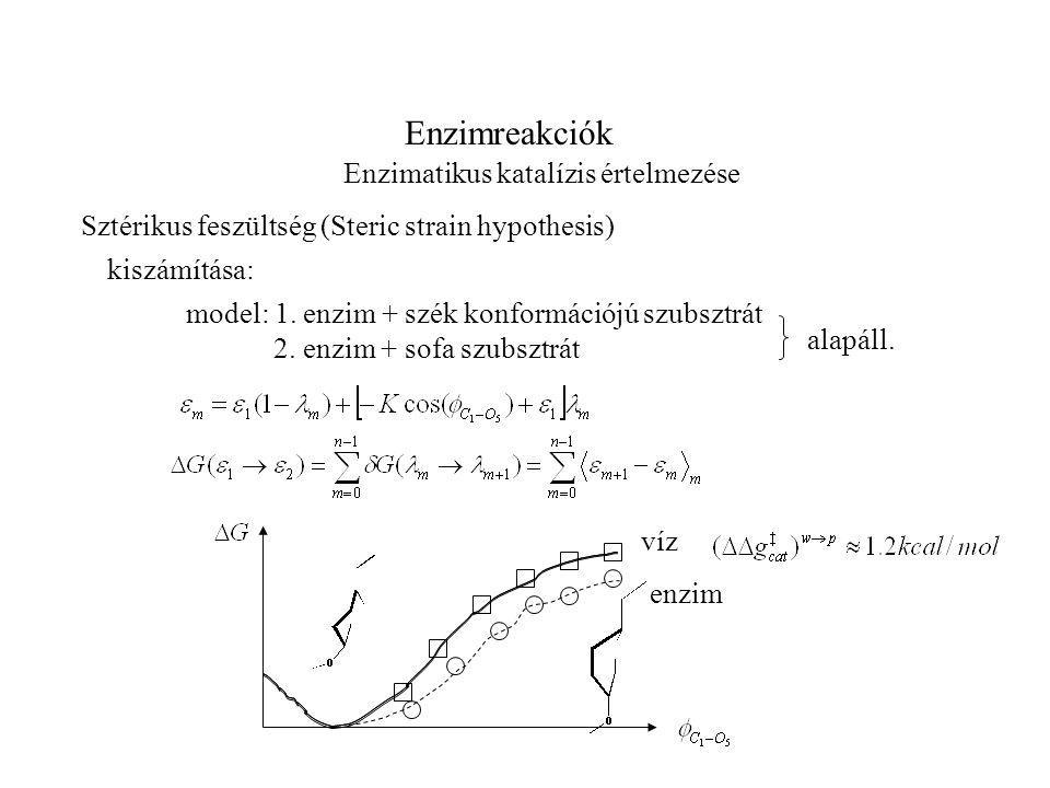Enzimreakciók Enzimatikus katalízis értelmezése Sztérikus feszültség (Steric strain hypothesis) model: 1.