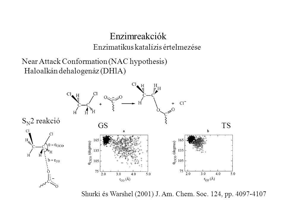 Enzimreakciók Enzimatikus katalízis értelmezése Near Attack Conformation (NAC hypothesis) Haloalkán dehalogenáz (DHlA) GS S N 2 reakció TS Shurki és Warshel (2001) J.