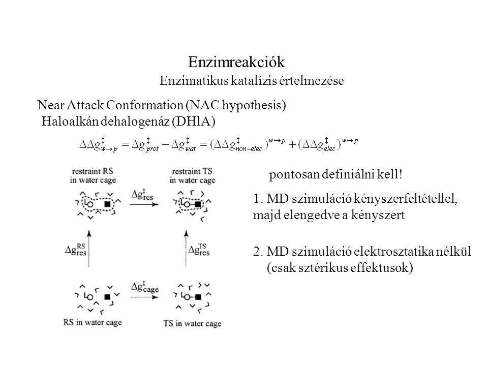 Enzimreakciók Enzimatikus katalízis értelmezése Near Attack Conformation (NAC hypothesis) Haloalkán dehalogenáz (DHlA) pontosan definiálni kell.