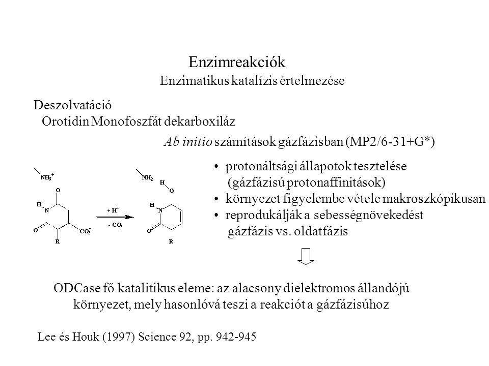 Enzimreakciók Enzimatikus katalízis értelmezése Lee és Houk (1997) Science 92, pp.