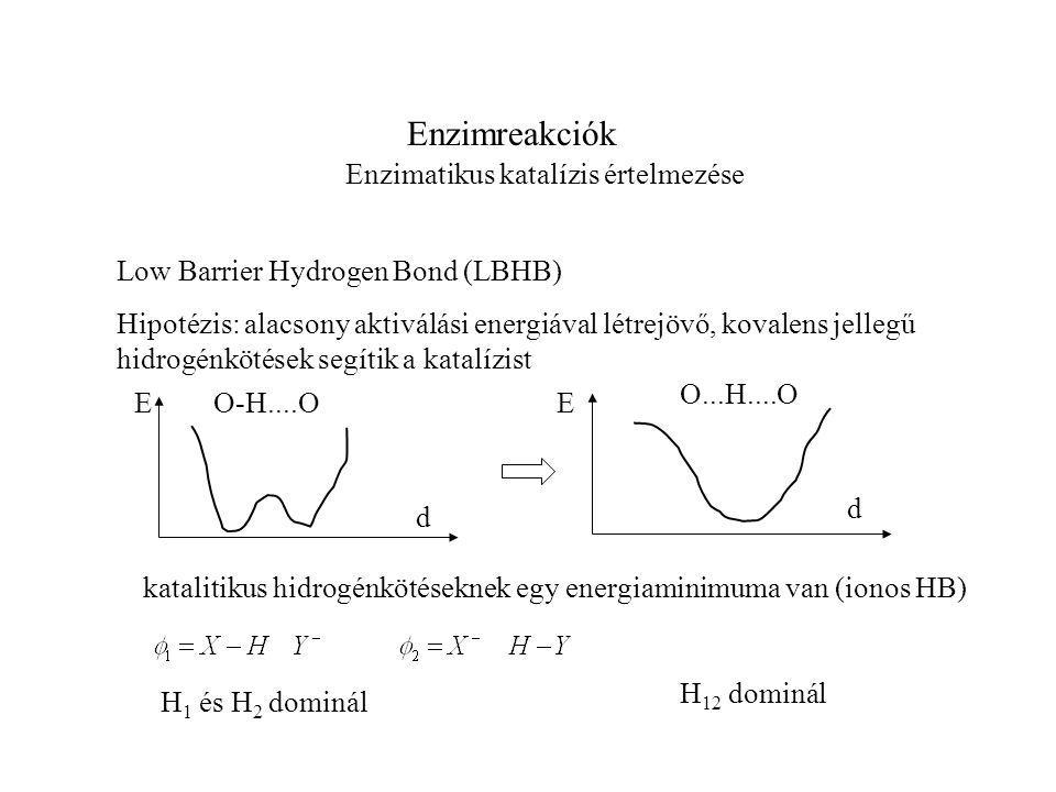 Enzimreakciók Enzimatikus katalízis értelmezése Low Barrier Hydrogen Bond (LBHB) katalitikus hidrogénkötéseknek egy energiaminimuma van (ionos HB) Hipotézis: alacsony aktiválási energiával létrejövő, kovalens jellegű hidrogénkötések segítik a katalízist EE d d O-H....O O...H....O H 1 és H 2 dominál H 12 dominál