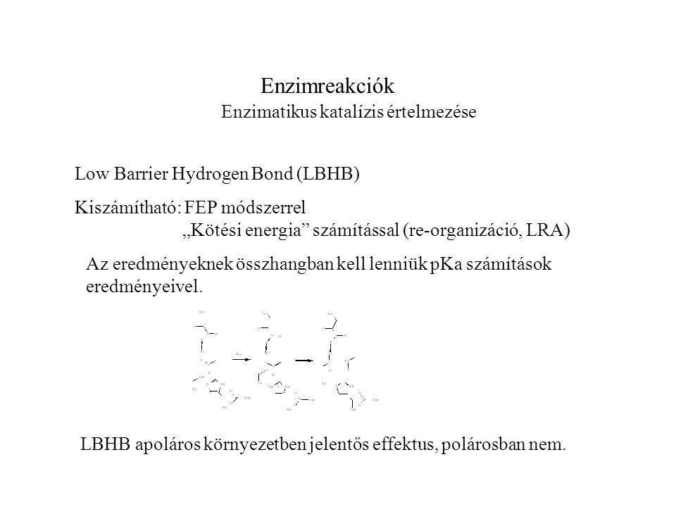 Enzimreakciók Enzimatikus katalízis értelmezése Low Barrier Hydrogen Bond (LBHB) Kiszámítható: FEP módszerrel „Kötési energia számítással (re-organizáció, LRA) Az eredményeknek összhangban kell lenniük pKa számítások eredményeivel.