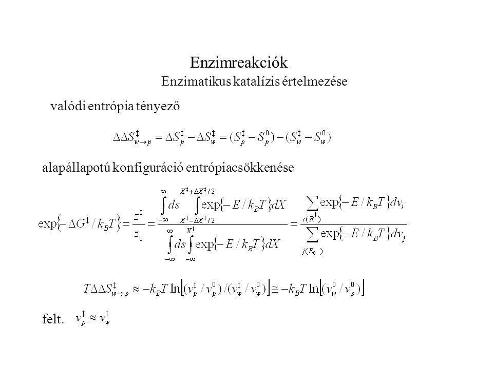 Enzimreakciók Enzimatikus katalízis értelmezése valódi entrópia tényező alapállapotú konfiguráció entrópiacsökkenése felt.