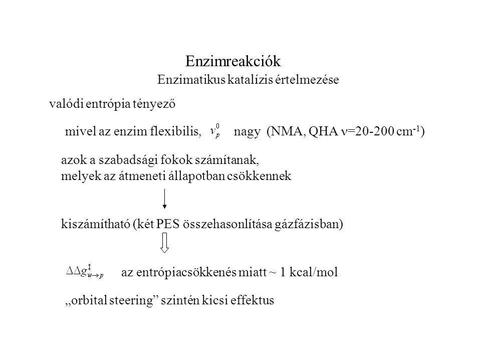 Enzimreakciók Enzimatikus katalízis értelmezése valódi entrópia tényező mivel az enzim flexibilis, nagy (NMA, QHA = cm -1 ) azok a szabadsági fokok számítanak, melyek az átmeneti állapotban csökkennek kiszámítható (két PES összehasonlítása gázfázisban) az entrópiacsökkenés miatt ~ 1 kcal/mol „orbital steering szintén kicsi effektus