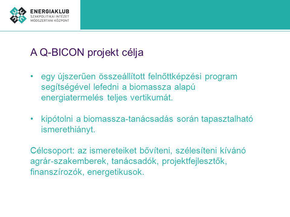 A Q-BICON projekt célja egy újszerűen összeállított felnőttképzési program segítségével lefedni a biomassza alapú energiatermelés teljes vertikumát.