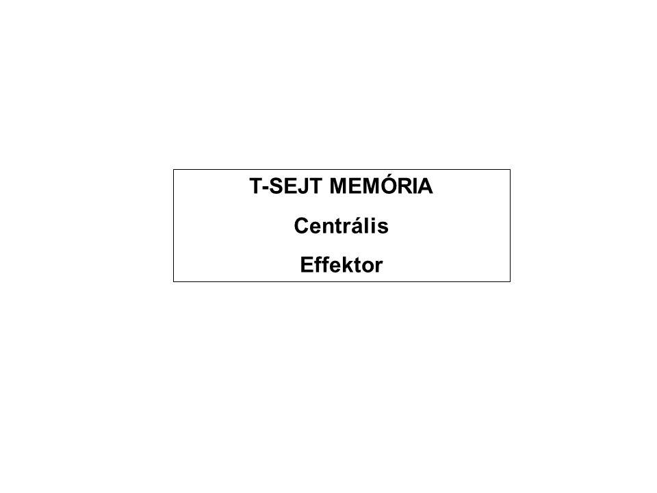 T-SEJT MEMÓRIA Centrális Effektor