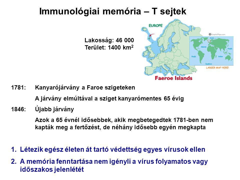 1781:Kanyarójárvány a Faroe szigeteken A járvány elmúltával a sziget kanyarómentes 65 évig 1846: Újabb járvány Azok a 65 évnél idősebbek, akik megbetegedtek 1781-ben nem kapták meg a fertőzést, de néhány idősebb egyén megkapta 1.Létezik egész életen át tartó védettség egyes vírusok ellen 2.A memória fenntartása nem igényli a vírus folyamatos vagy időszakos jelenlétét Immunológiai memória – T sejtek Lakosság: Terület: 1400 km 2