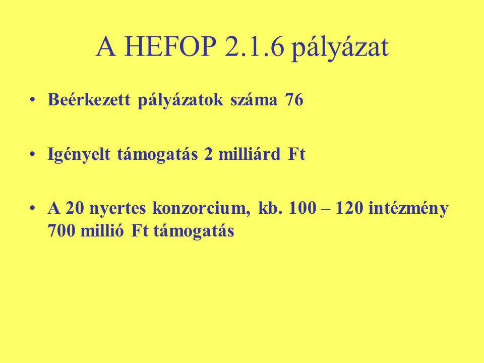 A HEFOP pályázat Beérkezett pályázatok száma 76 Igényelt támogatás 2 milliárd Ft A 20 nyertes konzorcium, kb.