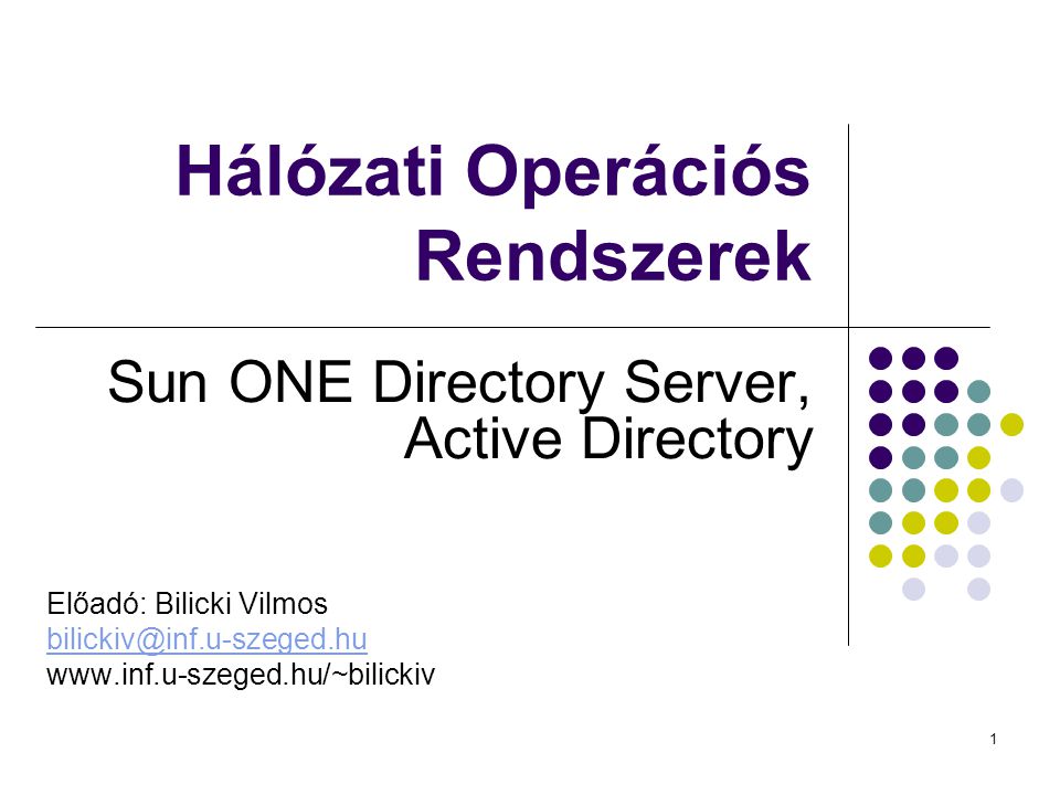 1 Hálózati Operációs Rendszerek Sun ONE Directory Server, Active Directory Előadó: Bilicki Vilmos