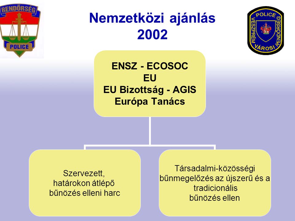ENSZ - ECOSOC EU EU Bizottság - AGIS Európa Tanács Szervezett, határokon átlépő bűnözés elleni harc Társadalmi-közösségi bűnmegelőzés az újszerű és a tradicionális bűnözés ellen Nemzetközi ajánlás 2002