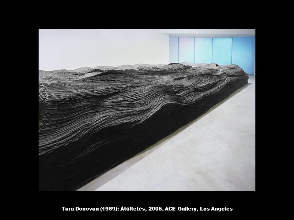 Tara Donovan (1969): Átültetés, ACE Gallery, Los Angeles