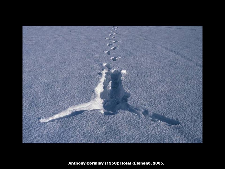 Anthony Gormley (1950): Hófal (Élőhely), 2005.