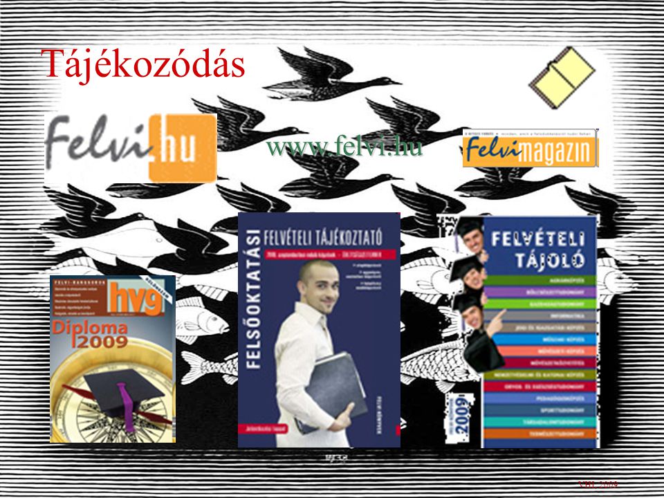 Továbbtanulás Összeállította: Veszelszkiné Huszárik Ildikó 2009–2010-ben a Bibó után