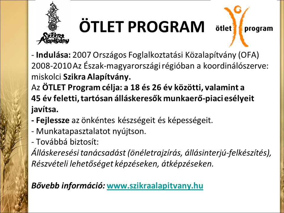 ÖTLET PROGRAM - Indulása: 2007 Országos Foglalkoztatási Közalapítvány (OFA) Az Észak-magyarországi régióban a koordinálószerve: miskolci Szikra Alapítvány.