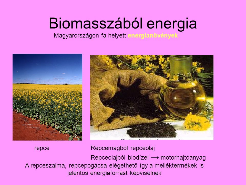 Biomasszából energia Magyarországon fa helyett energianövények repceRepcemagból repceolaj Repceolajból biodízel → motorhajtóanyag A repceszalma, repcepogácsa elégethető így a melléktermékek is jelentős energiaforrást képviselnek