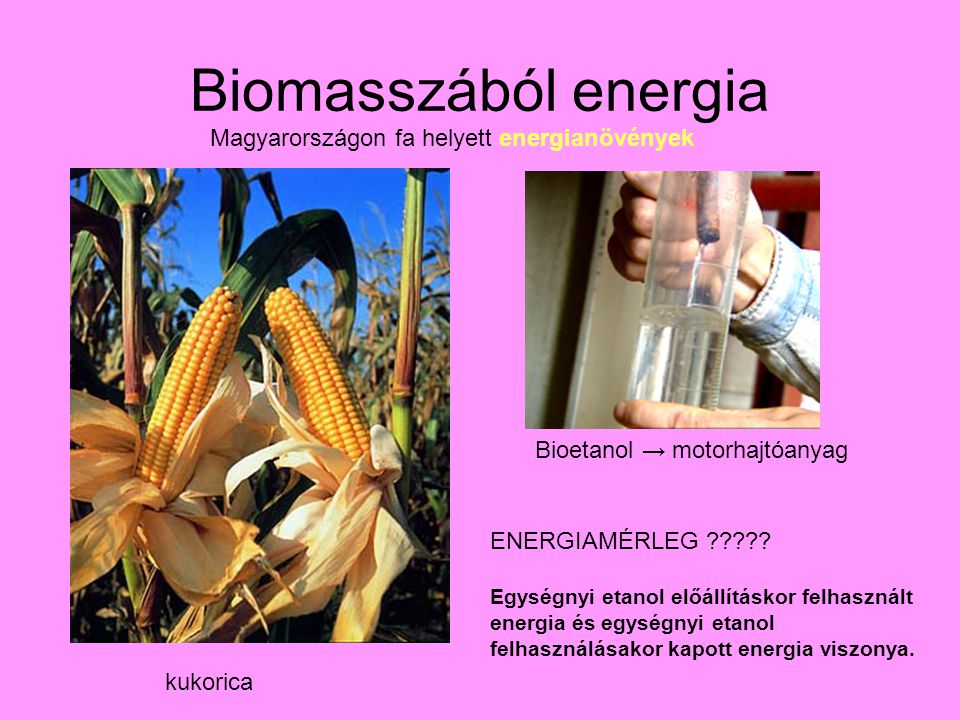 Biomasszából energia Magyarországon fa helyett energianövények kukorica Bioetanol → motorhajtóanyag ENERGIAMÉRLEG .