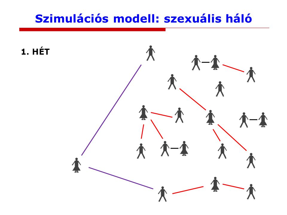 Szimulációs modell: szexuális háló 1. HÉT