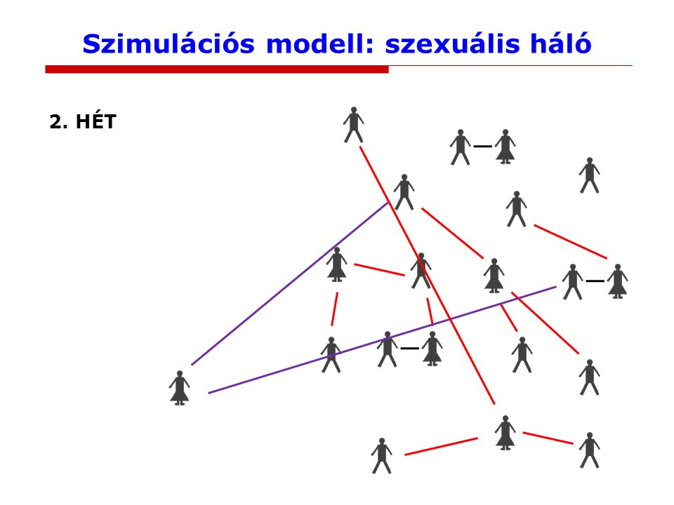 Szimulációs modell: szexuális háló 2. HÉT
