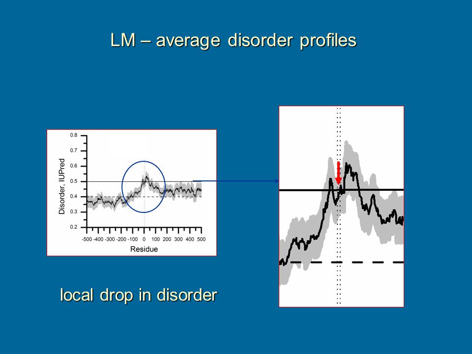 LM – average disorder profiles local drop in disorder