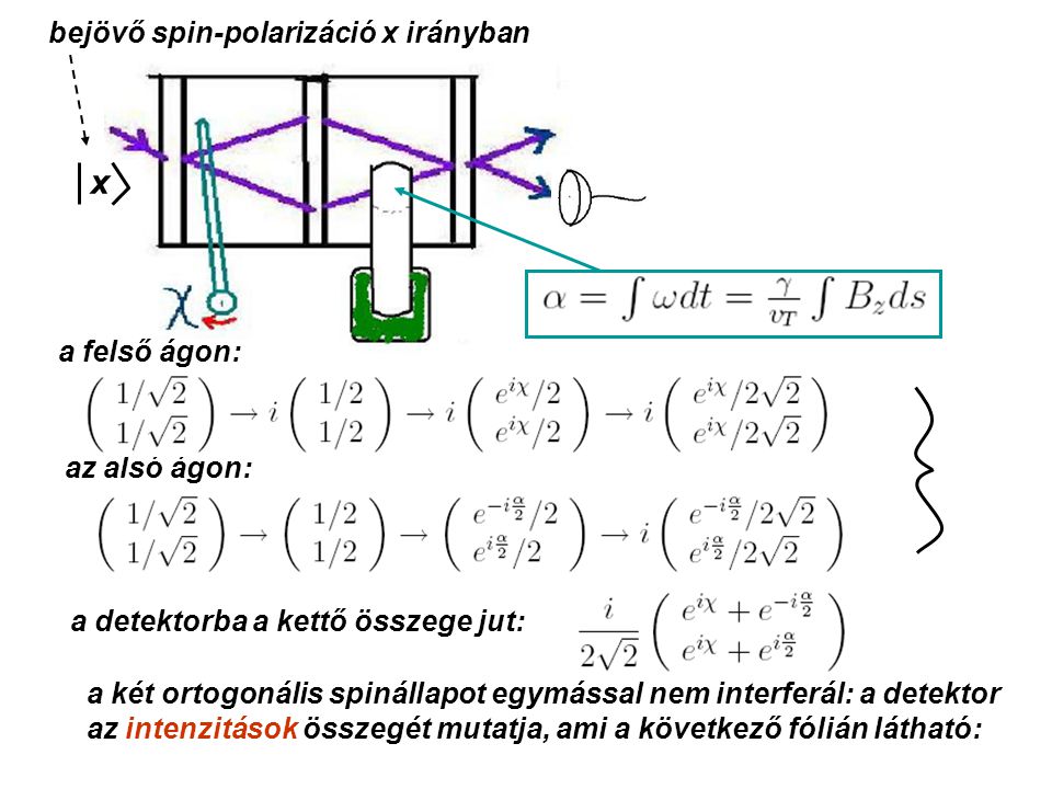 x a felső ágon: az alsó ágon: a detektorba a kettő összege jut: a két ortogonális spinállapot egymással nem interferál: a detektor az intenzitások összegét mutatja, ami a következő fólián látható: bejövő spin-polarizáció x irányban