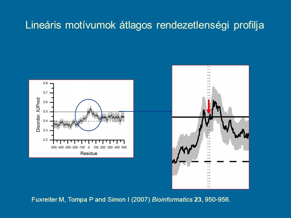Lineáris motívumok átlagos rendezetlenségi profilja Fuxreiter M, Tompa P and Simon I (2007) Bioinformatics 23,