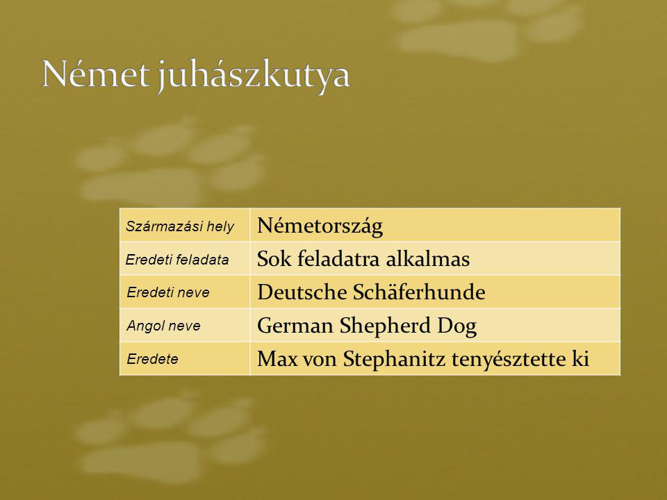 Származási hely Németország Eredeti feladata Sok feladatra alkalmas Eredeti neve Deutsche Schäferhunde Angol neve German Shepherd Dog Eredete Max von Stephanitz tenyésztette ki