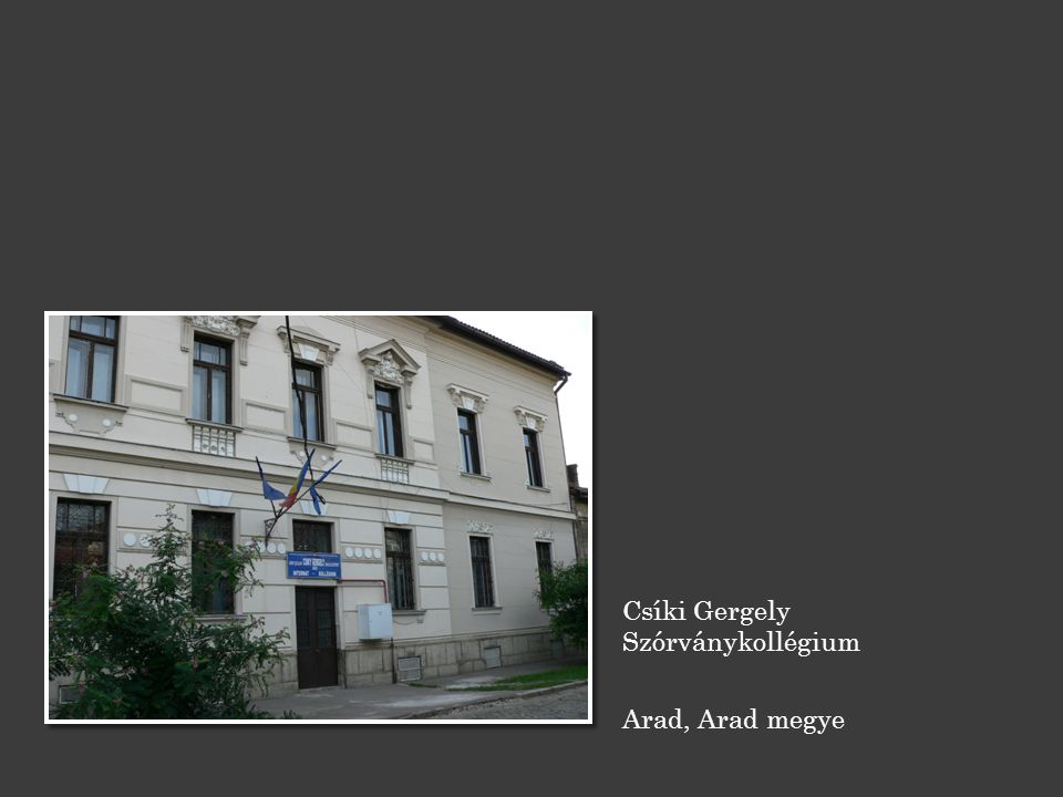 Csíki Gergely Szórványkollégium Arad, Arad megye