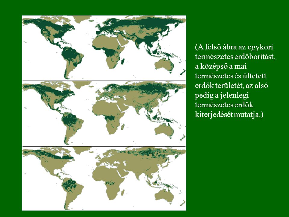 (A felső ábra az egykori természetes erdőborítást, a középső a mai természetes és ültetett erdők területét, az alsó pedig a jelenlegi természetes erdők kiterjedését mutatja.)