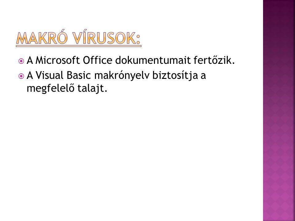 A Microsoft Office dokumentumait fertőzik.