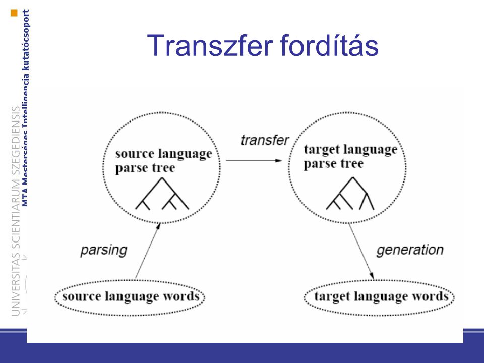 Transzfer fordítás