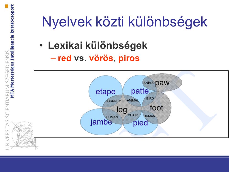 Nyelvek közti különbségek Lexikai különbségek –red vs. vörös, piros