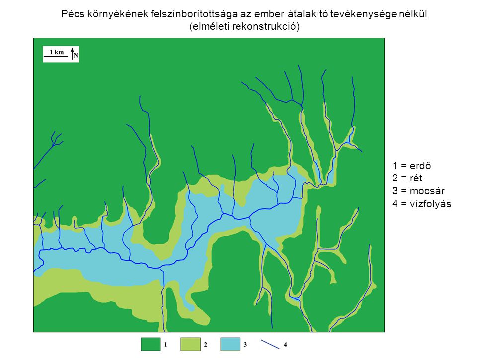 Pécs környékének felszínborítottsága az ember átalakító tevékenysége nélkül (elméleti rekonstrukció) 1 = erdő 2 = rét 3 = mocsár 4 = vízfolyás