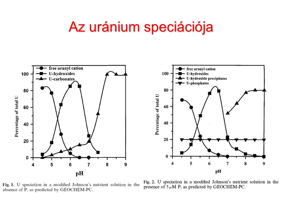 Az uránium speciációja
