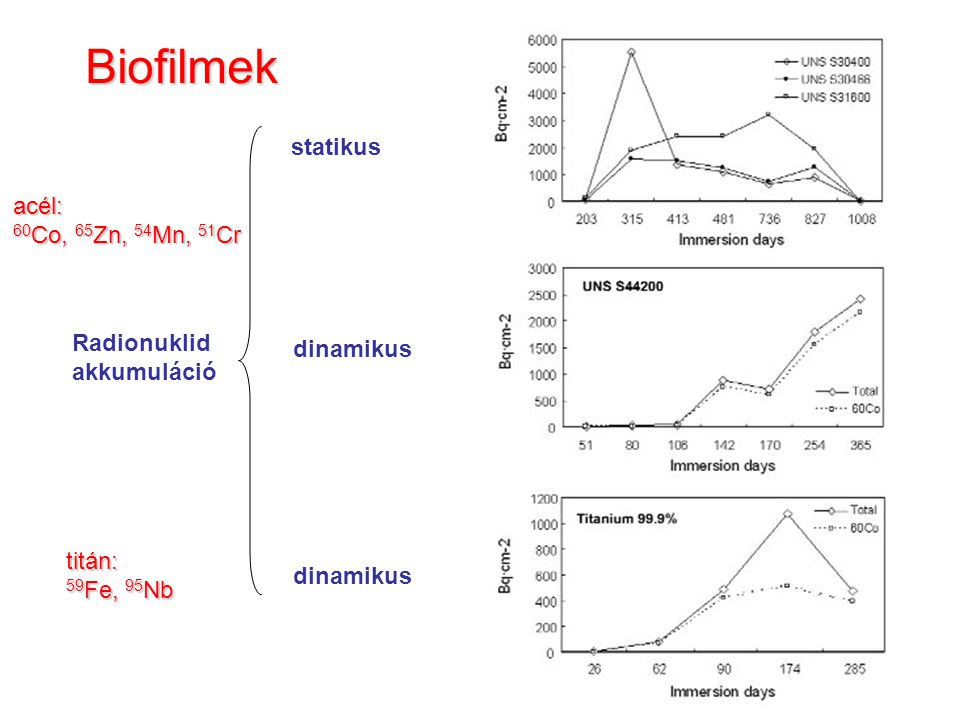 Biofilmek statikus dinamikus Radionuklid akkumuláció acél: 60 Co, 65 Zn, 54 Mn, 51 Cr titán: 59 Fe, 95 Nb