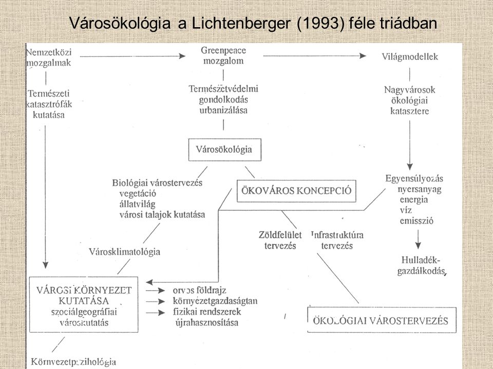 Városökológia a Lichtenberger (1993) féle triádban