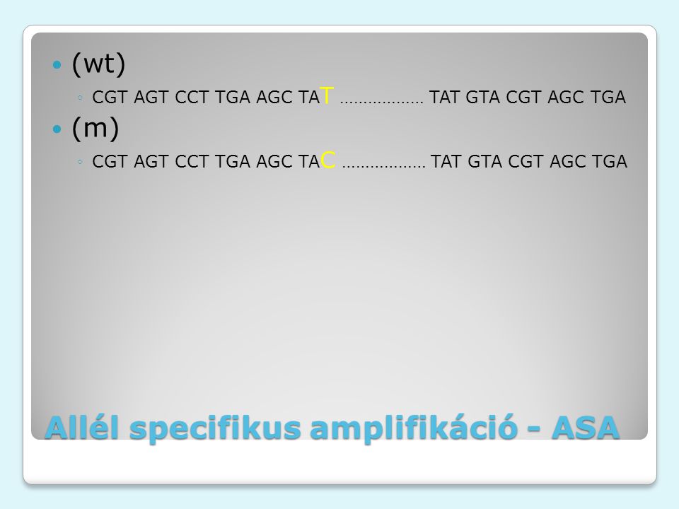 Allél specifikus amplifikáció - ASA (wt) ◦CGT AGT CCT TGA AGC TA T ……………… TAT GTA CGT AGC TGA (m) ◦CGT AGT CCT TGA AGC TA C ……………… TAT GTA CGT AGC TGA