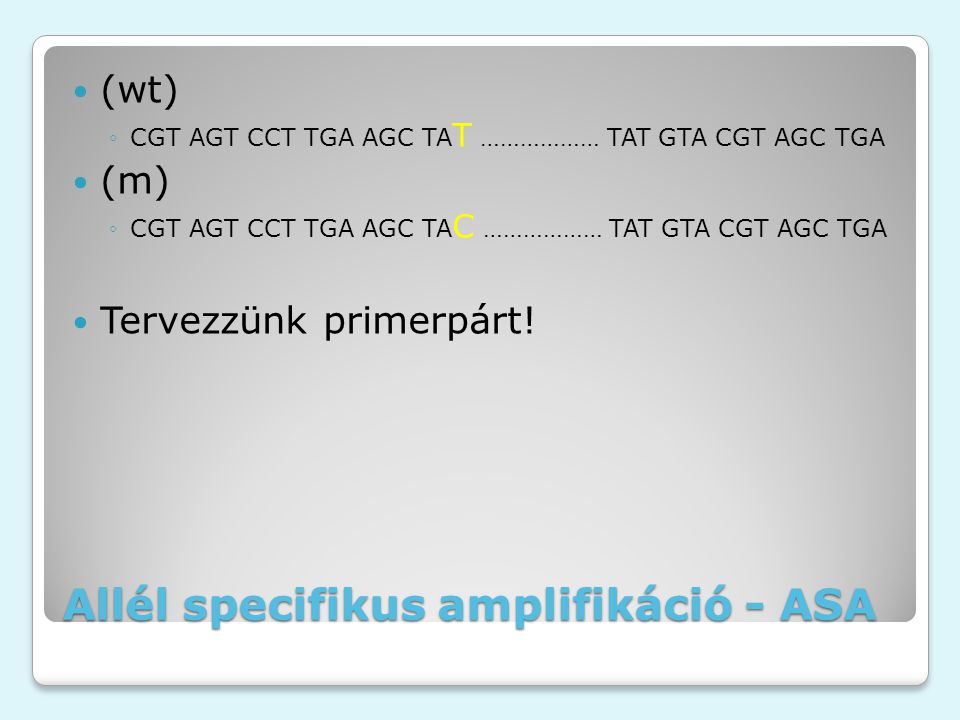 Allél specifikus amplifikáció - ASA (wt) ◦CGT AGT CCT TGA AGC TA T ……………… TAT GTA CGT AGC TGA (m) ◦CGT AGT CCT TGA AGC TA C ……………… TAT GTA CGT AGC TGA Tervezzünk primerpárt!