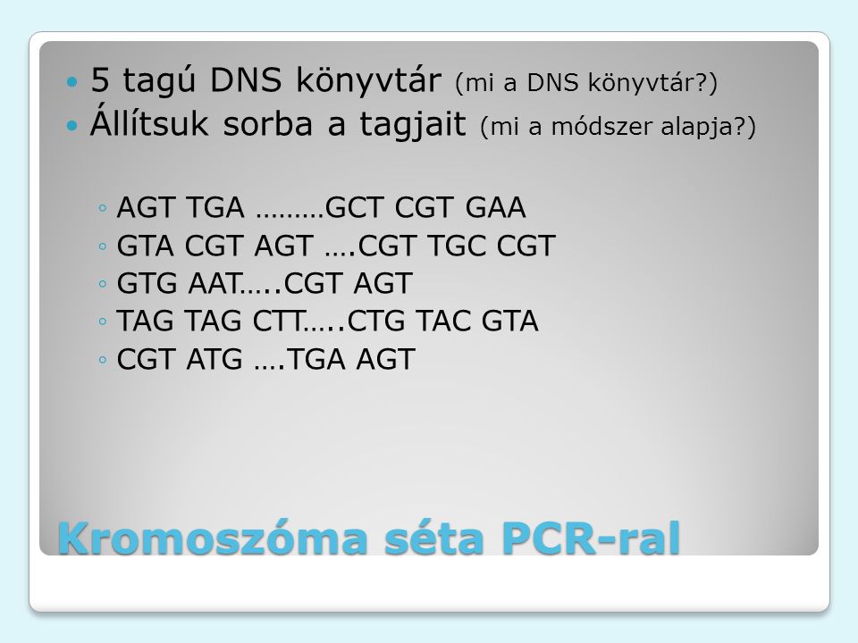 Kromoszóma séta PCR-ral 5 tagú DNS könyvtár (mi a DNS könyvtár ) Állítsuk sorba a tagjait (mi a módszer alapja ) ◦AGT TGA ………GCT CGT GAA ◦GTA CGT AGT ….CGT TGC CGT ◦GTG AAT…..CGT AGT ◦TAG TAG CTT…..CTG TAC GTA ◦CGT ATG ….TGA AGT