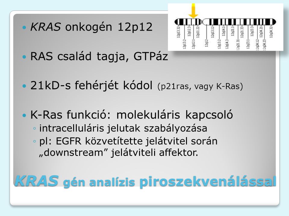 KRAS gén analízis piroszekvenálással KRAS onkogén 12p12 RAS család tagja, GTPáz 21kD-s fehérjét kódol (p21ras, vagy K-Ras) K-Ras funkció: molekuláris kapcsoló ◦intracelluláris jelutak szabályozása ◦pl: EGFR közvetítette jelátvitel során „downstream jelátviteli affektor.
