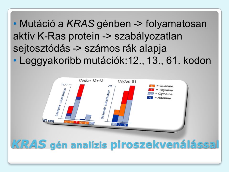 Mutáció a KRAS génben -> folyamatosan aktív K-Ras protein -> szabályozatlan sejtosztódás -> számos rák alapja Leggyakoribb mutációk:12., 13., 61.