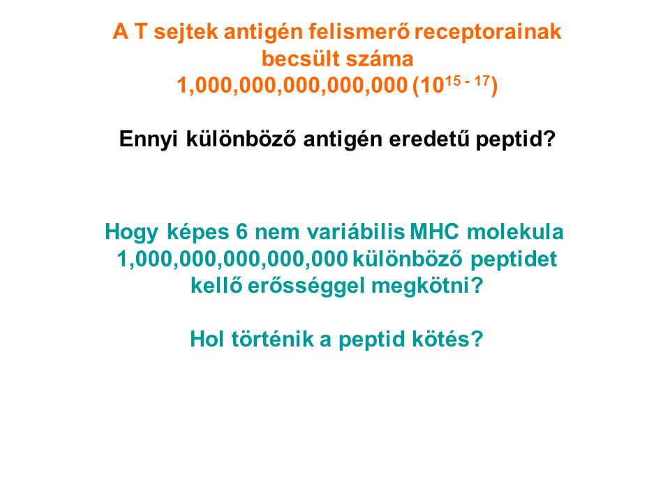 Hogy képes 6 nem variábilis MHC molekula 1,000,000,000,000,000 különböző peptidet kellő erősséggel megkötni.